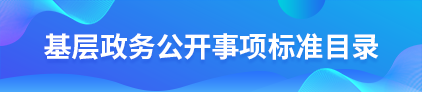 新城区政务公开标准目录